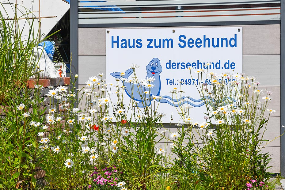 Foto aus der Fotogruppe 